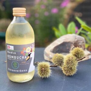 Hvordan smager kombucha?