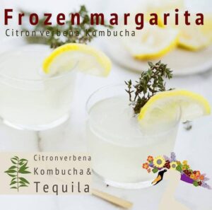 Frozen Margarita