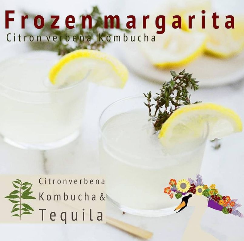 Frozen Margarita