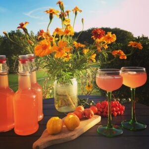 Bryg din egen kombucha