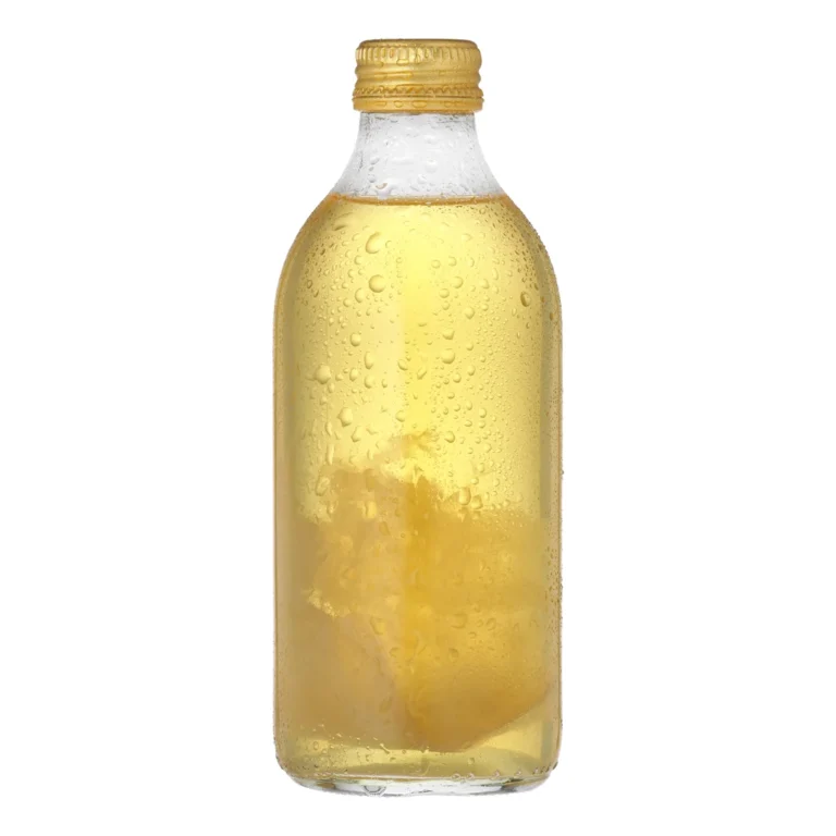 Øko Kombucha scoby med moden startervæske