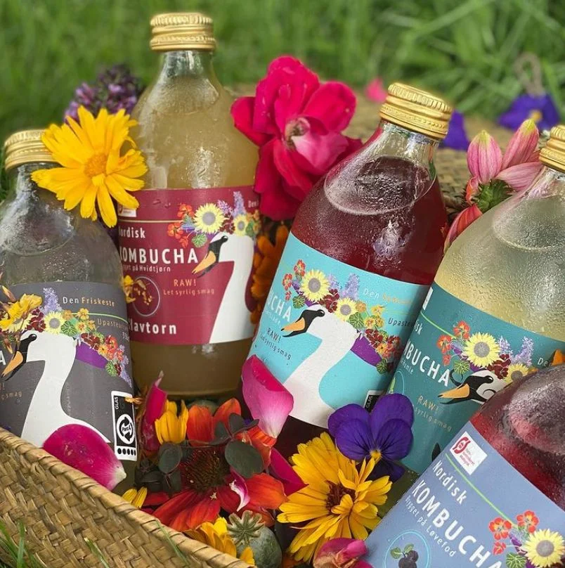 Nordisk kombucha produkter
