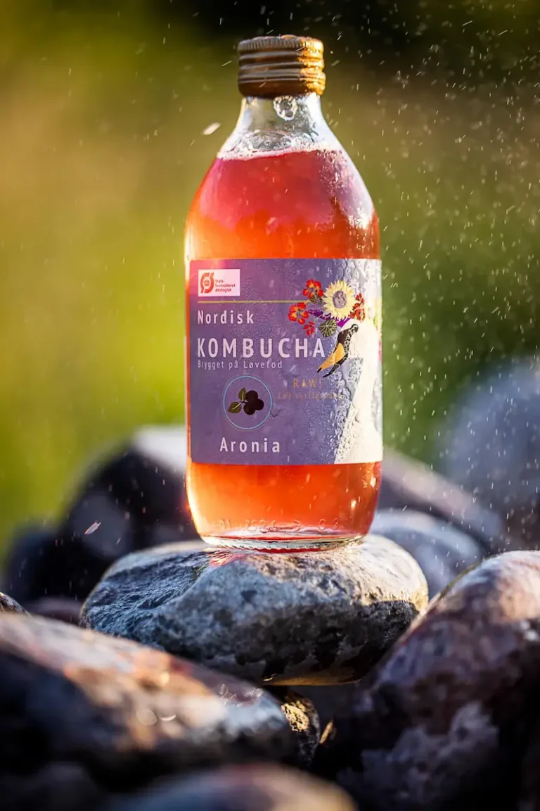Aronia kombucha