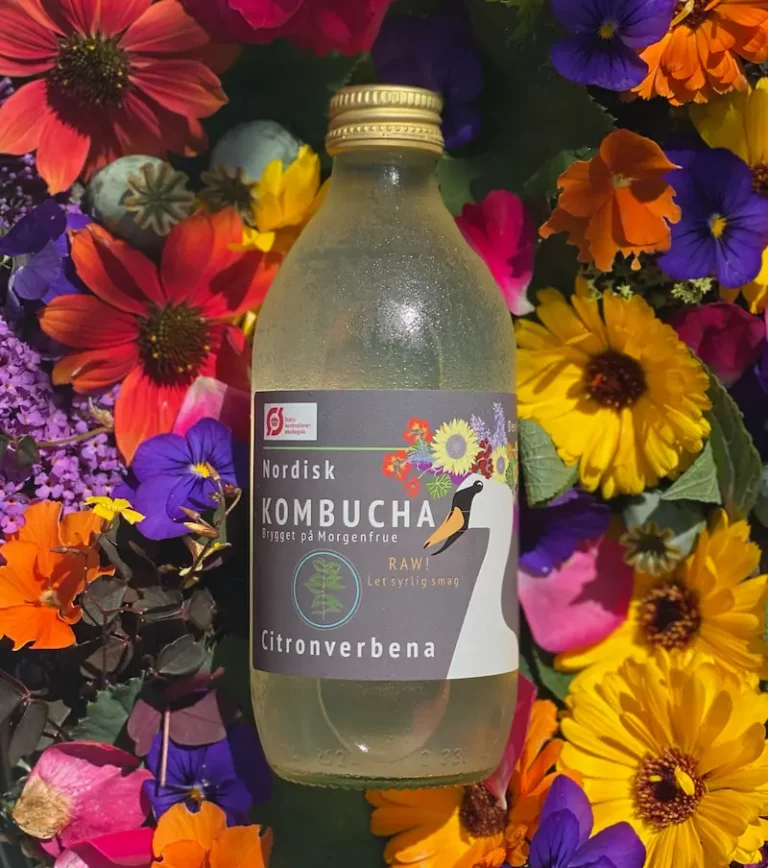 Citronverbena Kombucha
