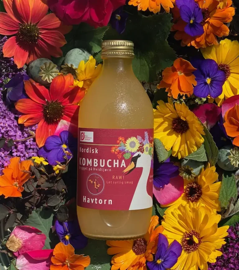 Havtorn Kombucha