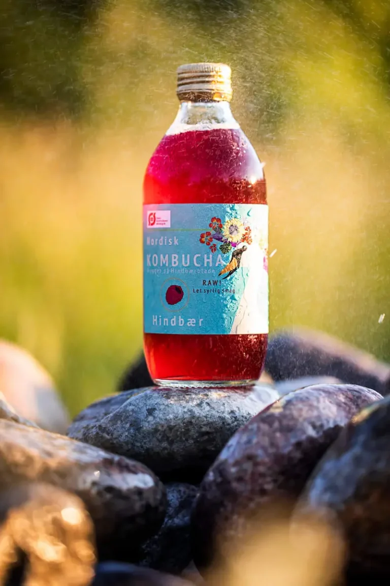 Hindbær Kombucha