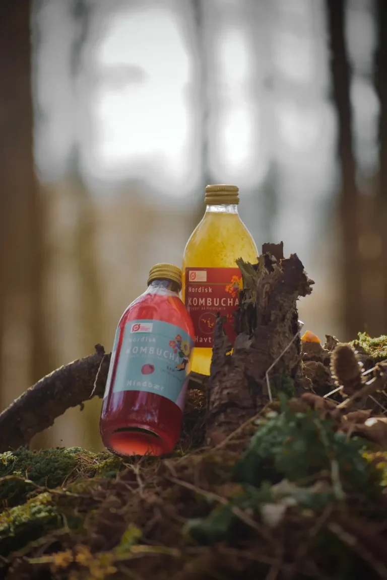 Nordisk Kombucha